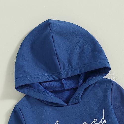 Comfortable Toddler Boys Hoodie Set