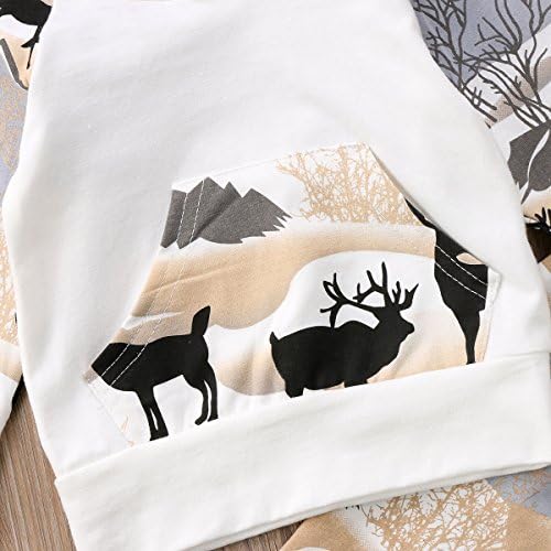 2pcs Baby Boys Hoodie Pants Set Dinosaur Deer Print Sweatsuit Fall Winter Outfits