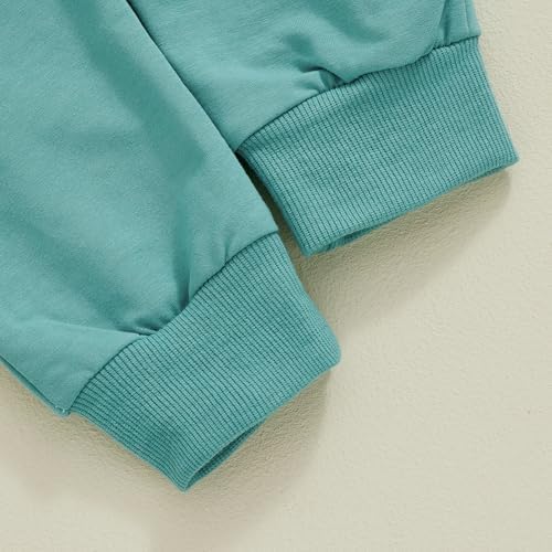 Baorji Toddler Boy Matching Fall Outfit Long Sleeve Round Neck Embroidery Set