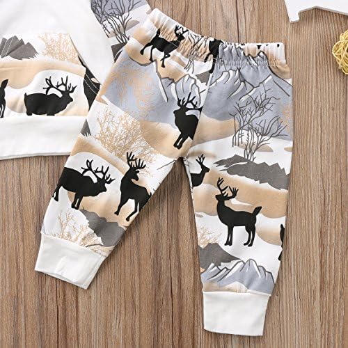 2pcs Baby Boys Hoodie Pants Set Dinosaur Deer Print Sweatsuit Fall Winter Outfits