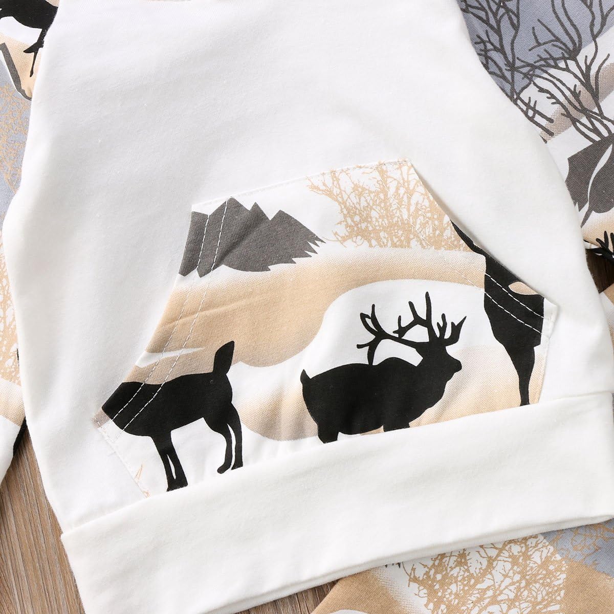2pcs Baby Boys Hoodie Pants Set Dinosaur Deer Print Sweatsuit Fall Winter Outfits