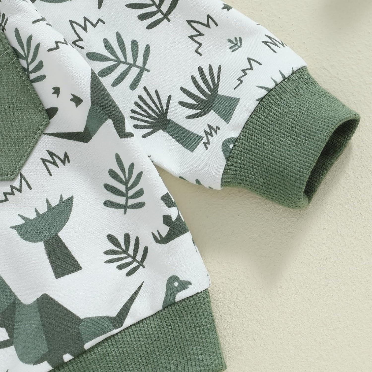 Toddler Boy Dinosaur Printed Fall Outfit Set