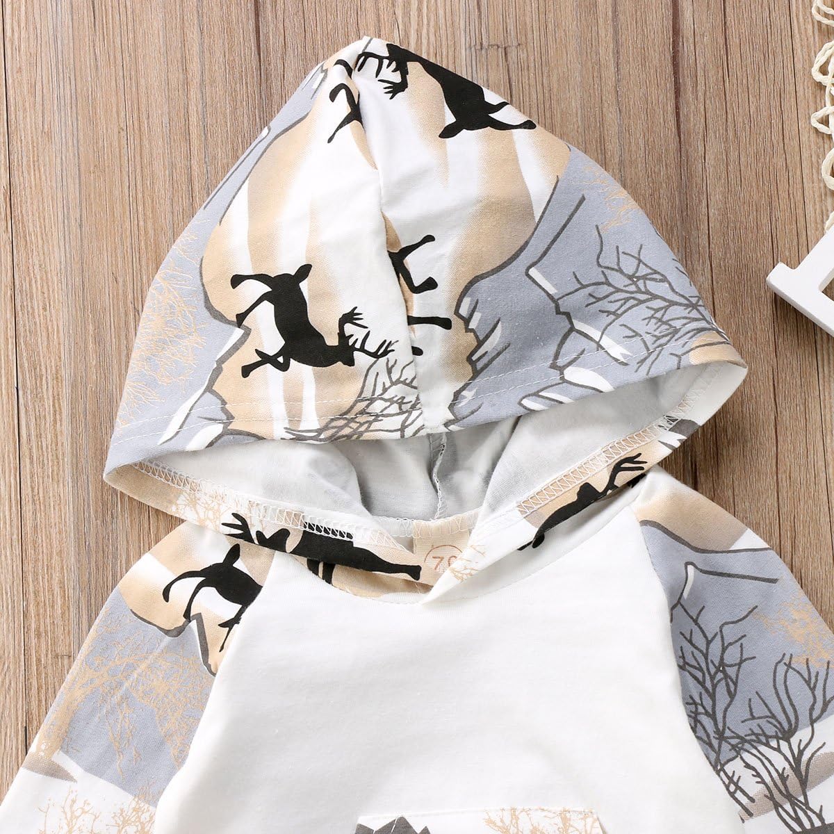2pcs Baby Boys Hoodie Pants Set Dinosaur Deer Print Sweatsuit Fall Winter Outfits