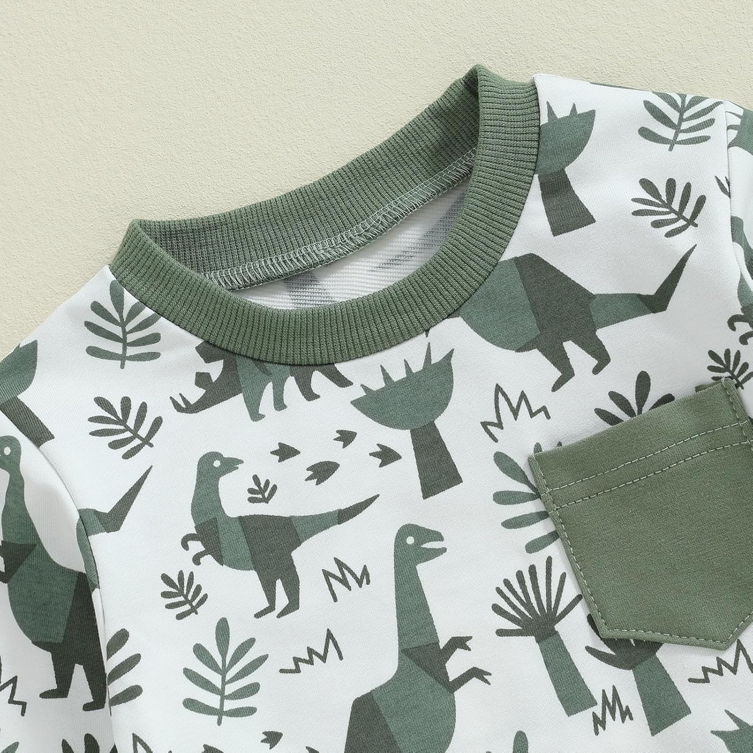 Toddler Boy Dinosaur Printed Fall Outfit Set